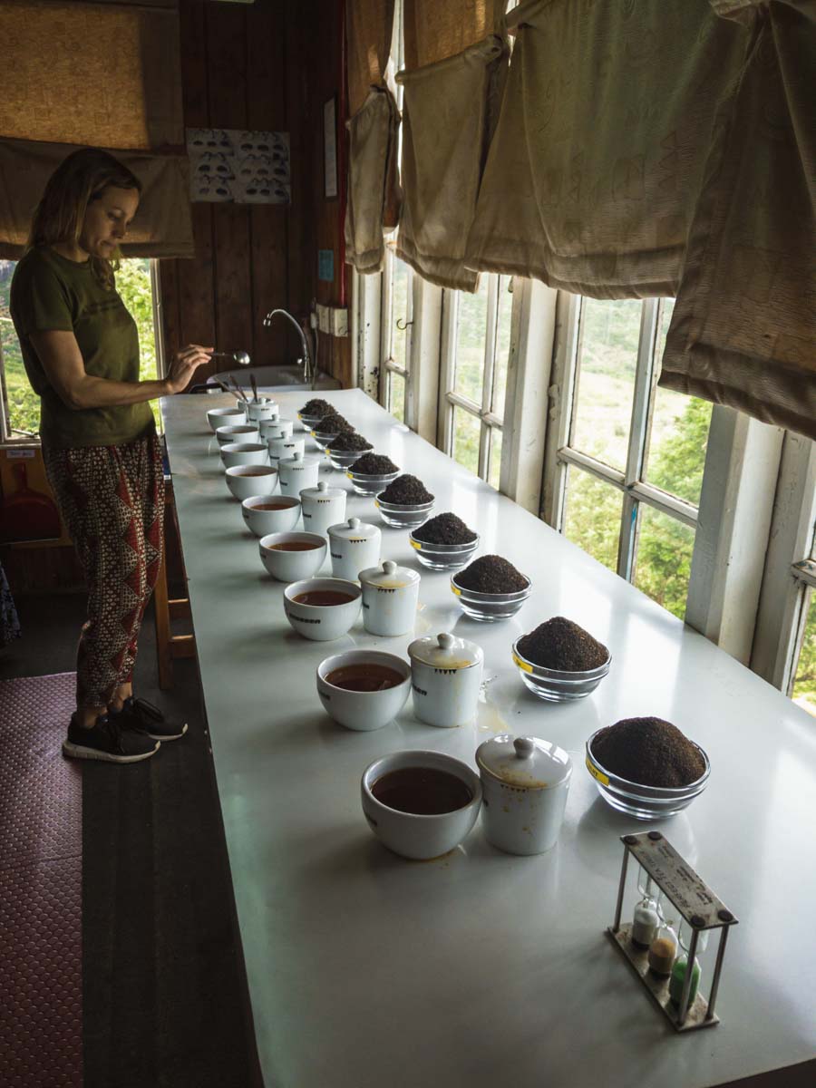 Mit dem Zug zwischen den nebligen Bergkämmen im Herzen der Berge in Sri Lanka - Besuch einer biodynamischen Teeplantage