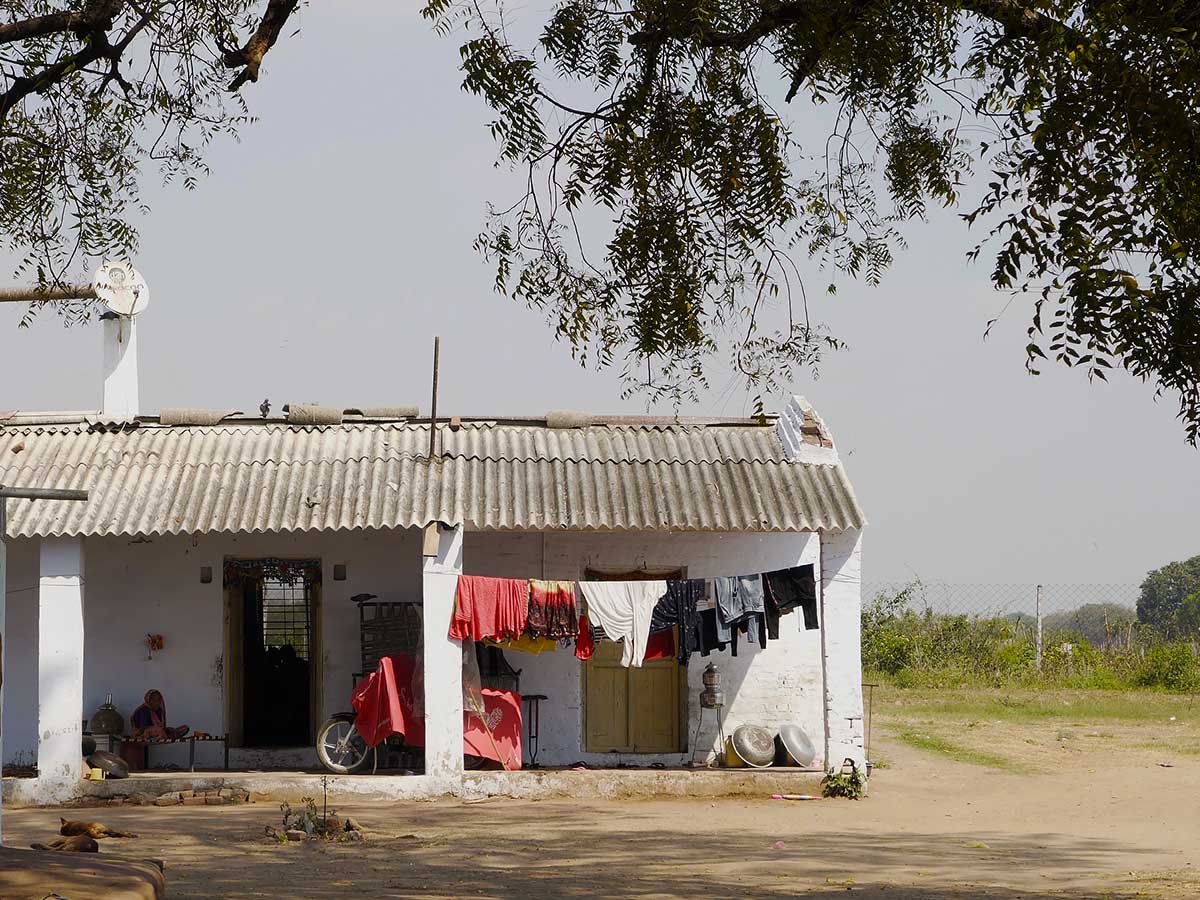 Un domaine familial inspirant en agriculture naturelle dans les environs d’Ahmedabad au Gujarat au nord-ouest de l’Inde Un domaine familial inspirant en agriculture naturelle dans les environs d’Ahmedabad au Gujarat au nord-ouest de l’Inde