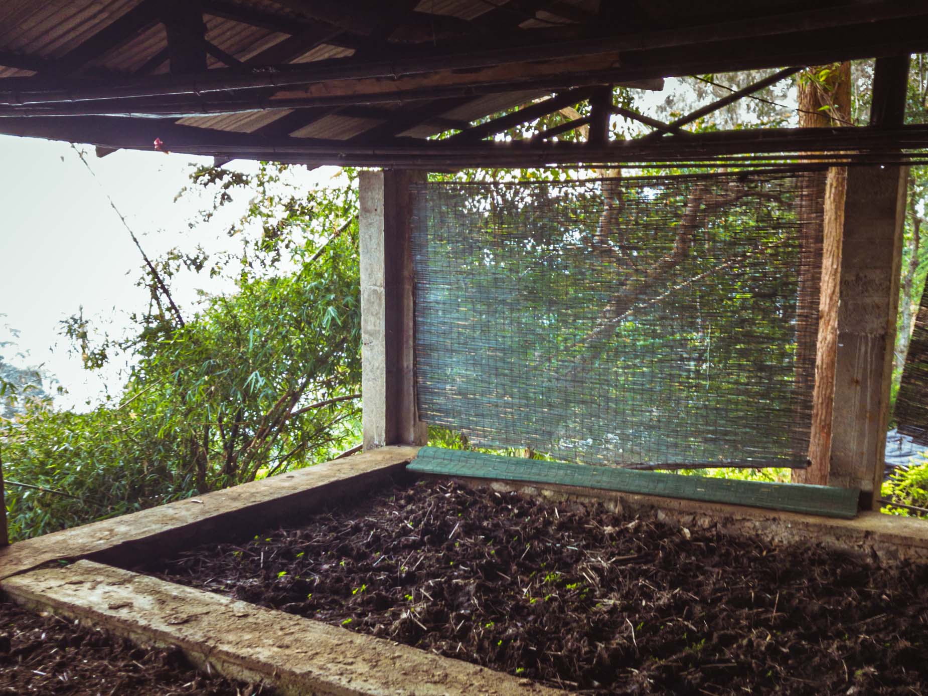 Mit dem Zug zwischen den nebligen Bergkämmen im Herzen der Berge in Sri Lanka - Besuch einer biodynamischen Teeplantage