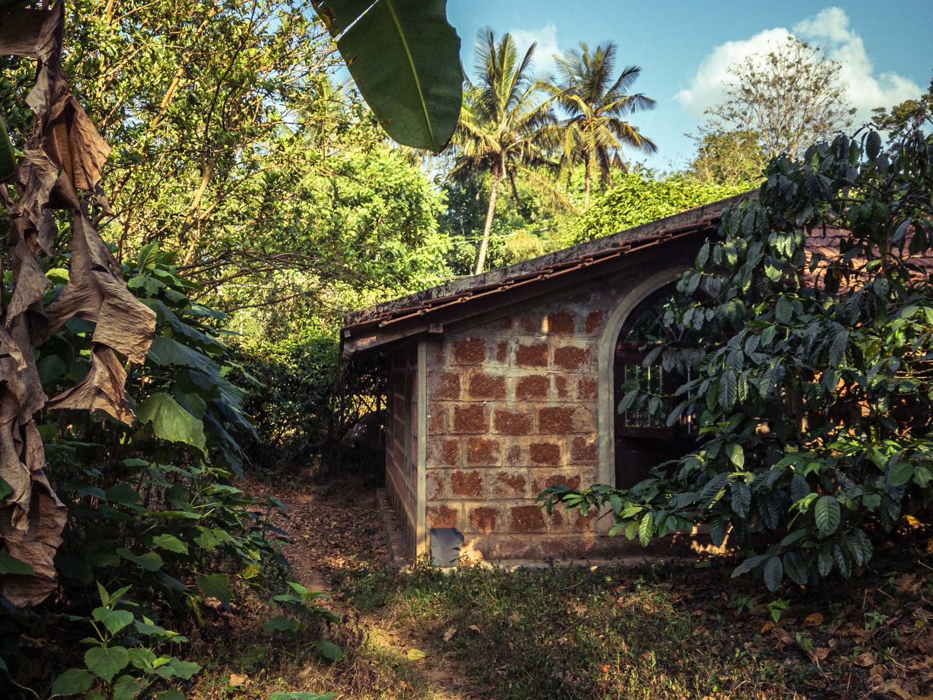 Ein Agroforstwirtschaftsmodell im Herzen des Regenwaldes in der Gebirgskette der Westghats in Karnataka