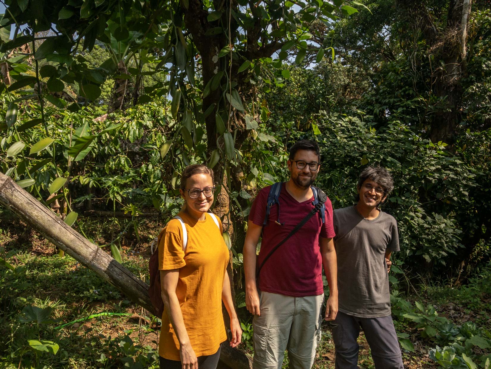 Un jardin d’épices, de thé et de café, véritable paradis de la biodiversité sur la chaîne des Ghats occidentaux au Karnataka Un jardin d’épices, de thé et de café, véritable paradis de la biodiversité sur la chaîne des Ghats occidentaux au Karnataka