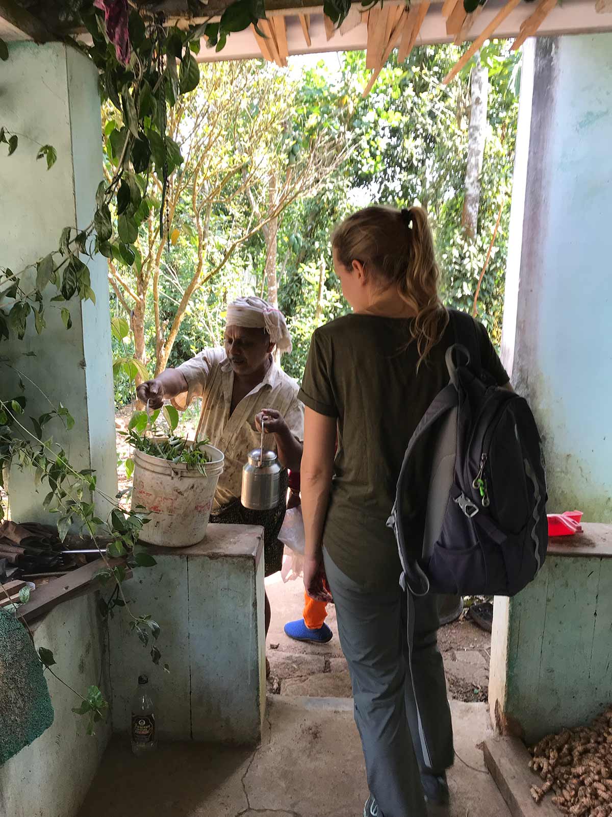 Ein einzigartiger Bauernhof mit tausend Gewürzen in den Hügeln der westlichen Ghats in Indien