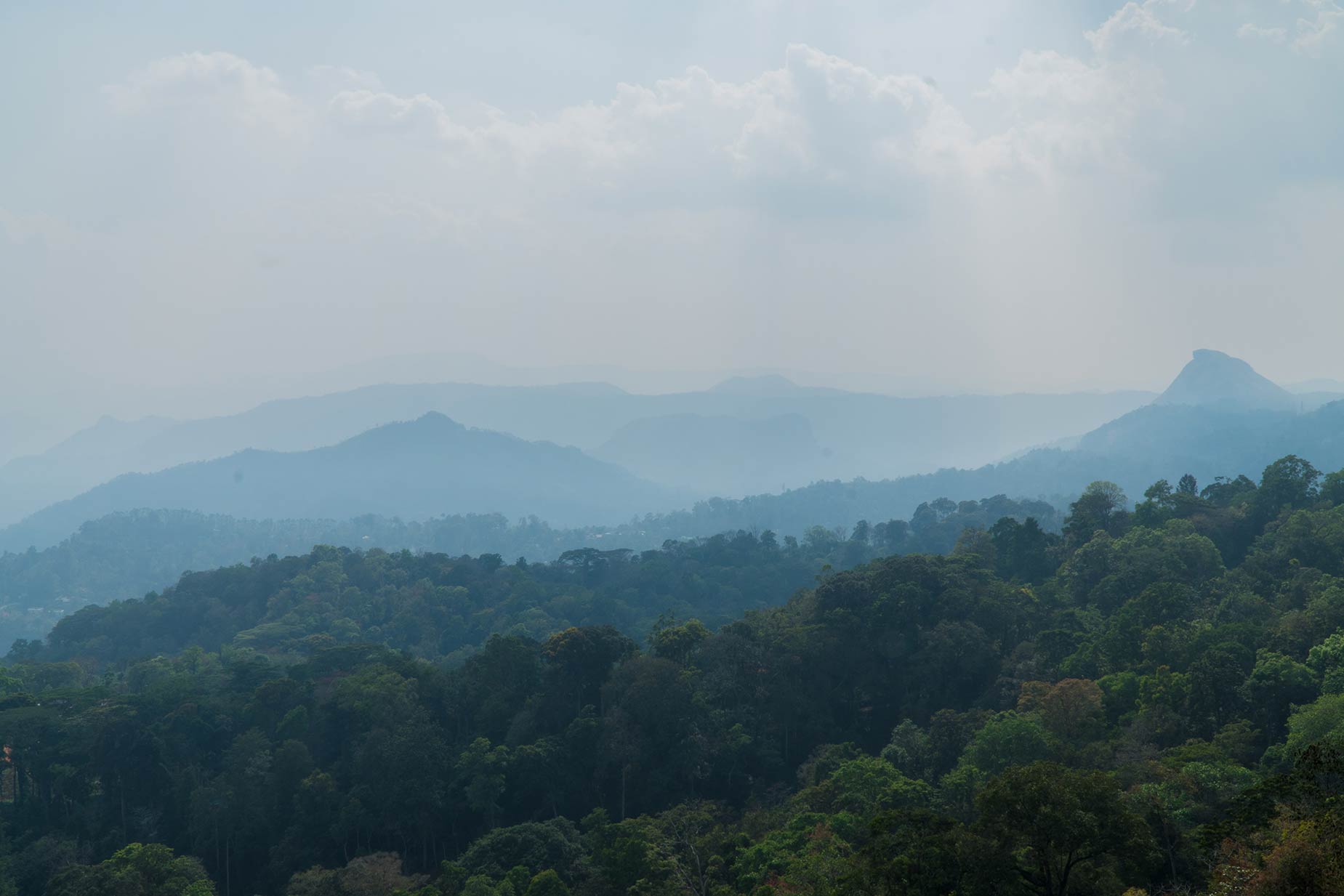 Ein einzigartiger Bauernhof mit tausend Gewürzen in den Hügeln der westlichen Ghats in Indien