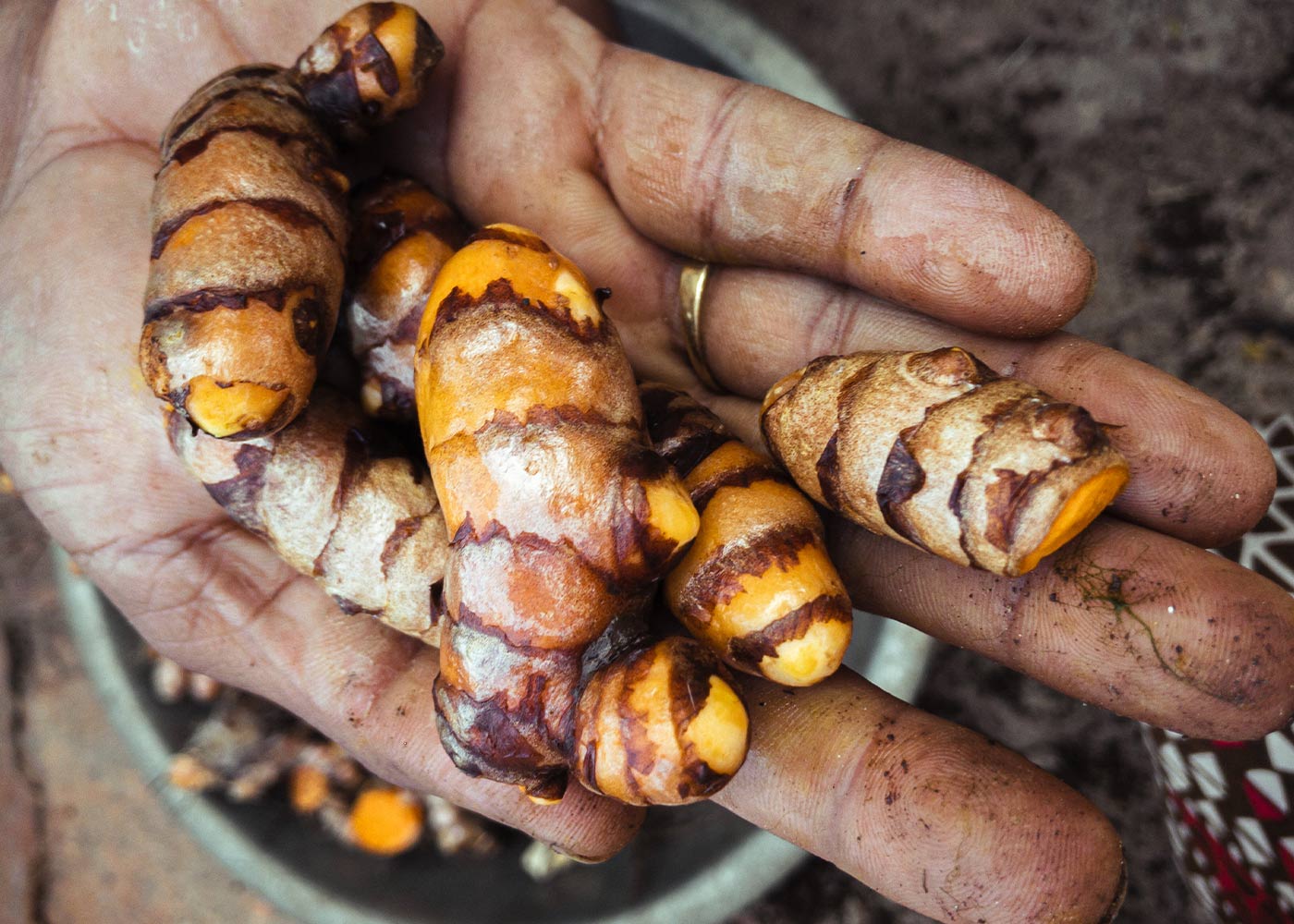 Les incroyables bienfaits des épices dans la cuisine de tous les jours