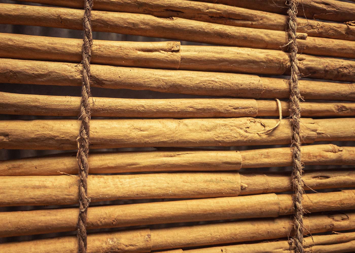 Les incroyables bienfaits des épices dans la cuisine de tous les jours Les incroyables bienfaits des épices dans la cuisine de tous les jours