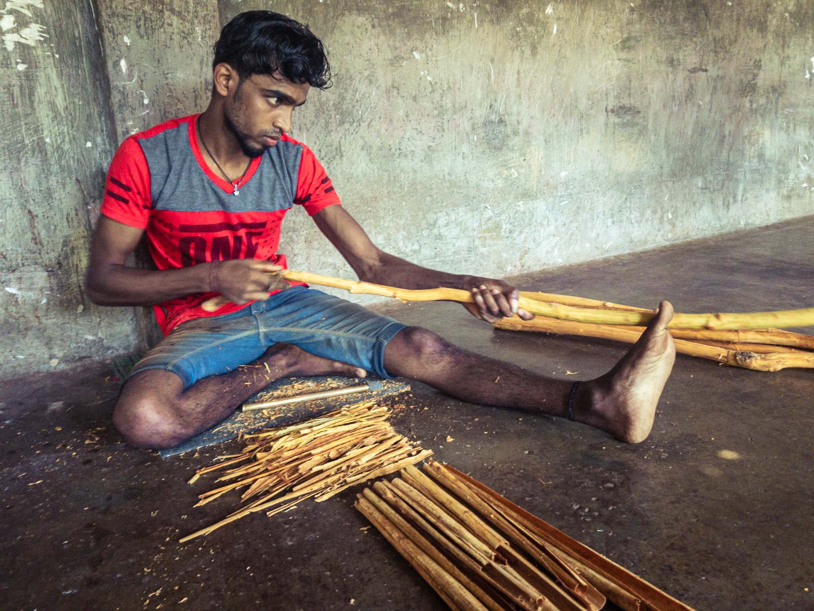 Der beste Ceylon-Zimt wächst auf einem Hügel inmitten unberührter Natur