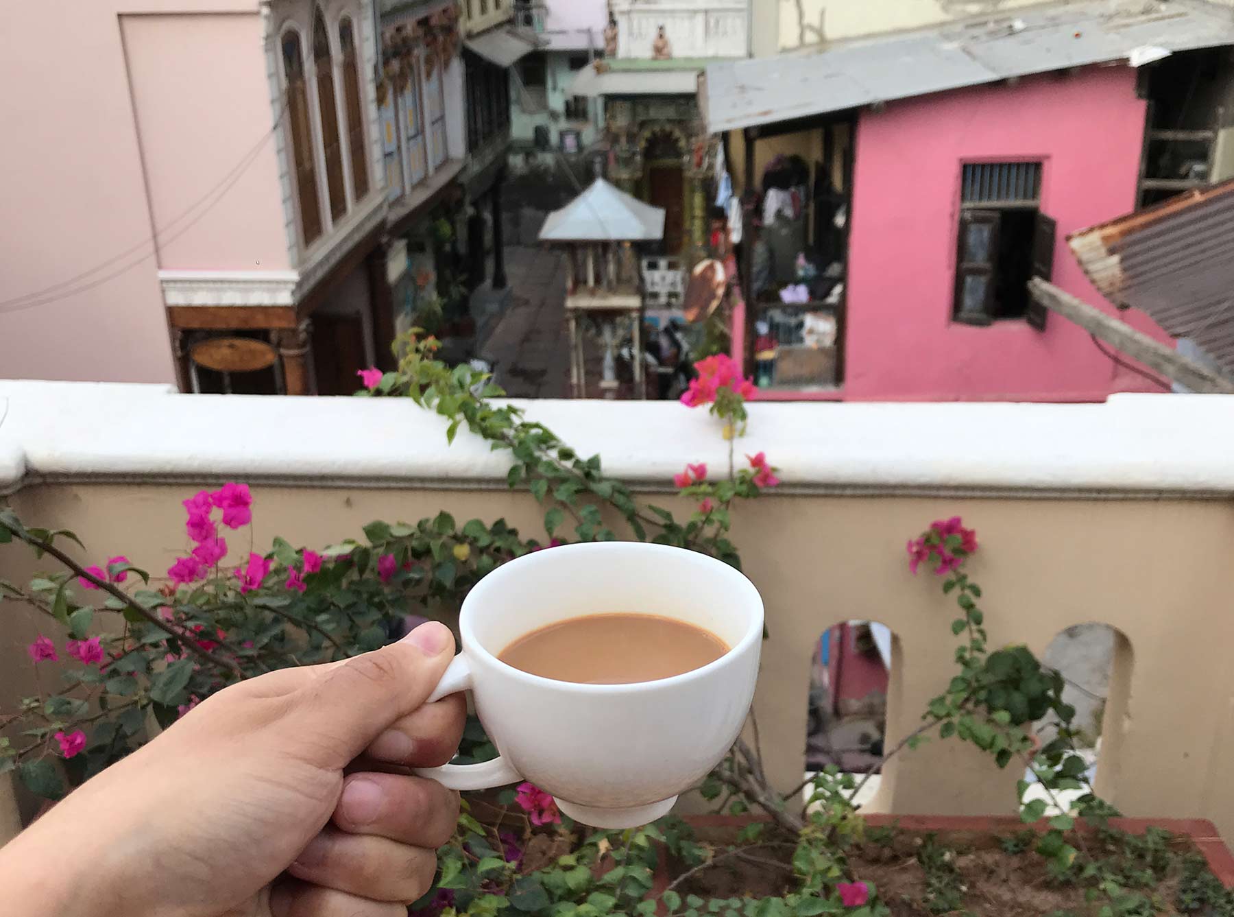 Un domaine familial inspirant en agriculture naturelle dans les environs d’Ahmedabad au Gujarat au nord-ouest de l’Inde Un domaine familial inspirant en agriculture naturelle dans les environs d’Ahmedabad au Gujarat au nord-ouest de l’Inde