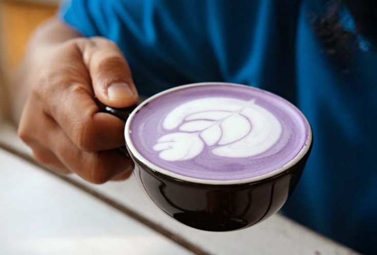 Ube Latte: tout savoir sur la boisson violette tendance, ses bienfaits et recettes faciles